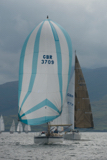 prime cut gbr3709 whyw17 wed gjmc 7815